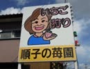 【ニコツー】千葉いちご狩りツーリング【初参加】