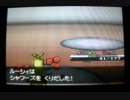 【ポケモンＢＷ】ひー'ｓ マイナーバトル記録Ｎｏ.３～VSブイズ～