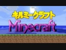 【実況】 中略 Minecraft ：４€ 【ver12w07b】