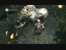 自戒　ダークソウル実況プレイPart5