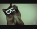 Dubstep CAT