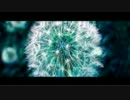 【ボカ練4_IA】DTMとボカロの練習　カバー曲「雪の華」