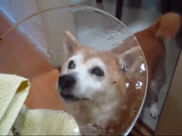 お豆パーティー（１２年２月２５日）