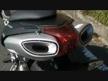 【車載動画】どうみても鳥類です。【DORSODURO】