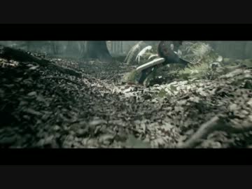 【②月新譜】Eisblume - Fur immer (River Flows in You)【FullHD】(ドイツ)2012