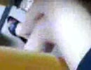 綺麗なお姉さんは好きですか？