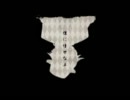 【歌ってみた】夢喰い白黒バク＜朱煉＞
