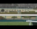 １回阪神２日　２R　ゴール直前