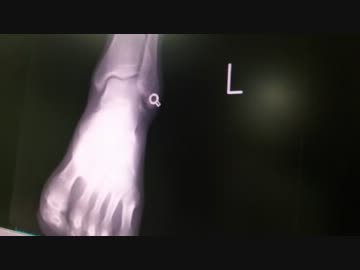 かわせみ河原へ行くんやPart.2【バイク購入する？！】