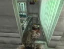 【OPERATION７】Grisaiaの日常【魁皇朱雀】　初日