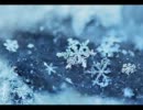 【NNI】木目月の雪解雫【エレクトロニカ】