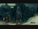 【ダークソウル】変態騎士が行く 白ファン日記【実況】 part2前編