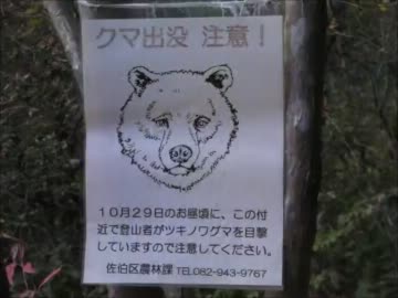 【林道】オンロードバイクで逝く林道【石ケ谷線】