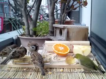 ベランダ食堂改築