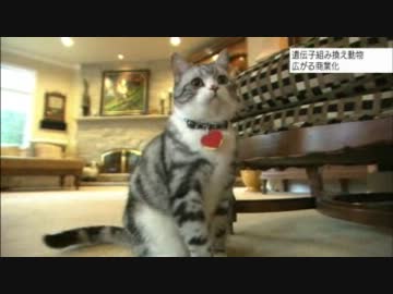 広がる波紋　遺伝子組み換え動物