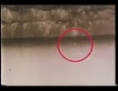 ナマモノとは ナマモノとは 単語記事 ニコニコ大百科