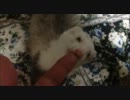 俺とお前とオヤツ
