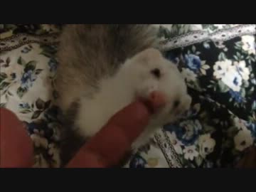 俺とお前とオヤツ