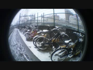 【自然】2012年2月29日の東京の大雪(It is a heavy snow in Tokyo)
