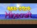 【実況】 中略 Minecraft ：５€ 【ver12w08a】