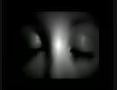 Fall in the Light ~Lori Carson & Graeme Revell (Music video)