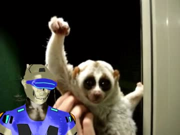 限定戦争に参加する淫夢くん.mp4