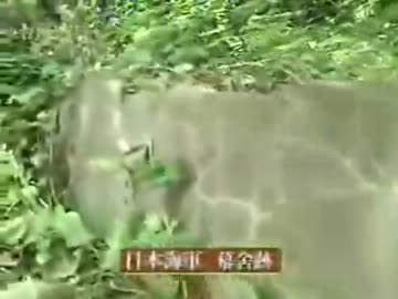 独島(日本名・竹島)が韓国領土である理由【後編】