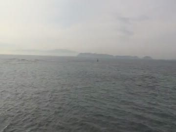 テスト動画