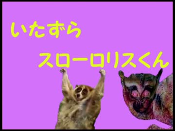 いたずらスローロリスくん