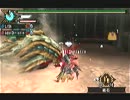 【MHP3】YAIBA･風神と雷神 双剣×双剣 5'45"76【ガチTA】