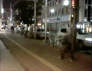 テスト動画（川口紹介）