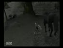 ワンダと実況 6