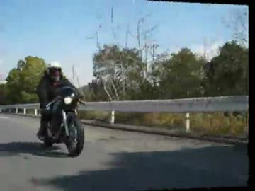 TOKONAME LUNCH CRUISING