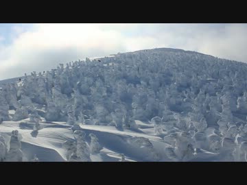 東北に行こうよ！冬物語　その６　樹氷 -snow monsters-