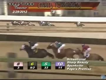 ８頭中７頭落馬ワロスｗｗｗｗｗｗｗｗｗｗｗｗｗｗｗｗｗｗｗｗｗｗｗ