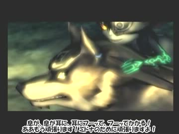 ノーダメージ縛り　ゼルダの伝説　トワイライトプリンセス　その１の５