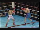 チェジョンファン対大橋秀行
