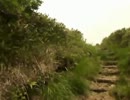 巻機山(新潟県)避難小屋から山頂に向かう「途中まで」を手ブレ補正
