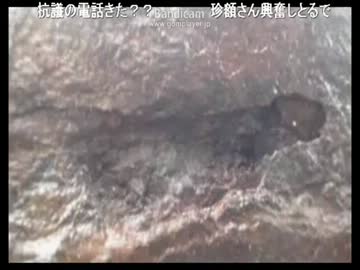 たまたま写った岩がなんかエッチな形だった