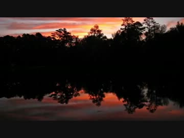 1時間 ドラクエ8 雄叫びをあげて 都響ver.