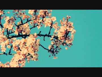 【NNI】Chiru.【春二カ祭2012】