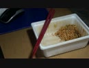 ペヤング激辛を食べるだけの動画