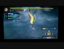 【MH3G】ラギアクルス亜種　弓ソロ　非火事場　06'37討伐　【５分針】