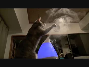 モアレとクリエ 「しゅわしゅわ拳」