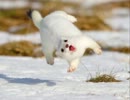 この曲のタイトル教えてください