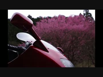 ZZRで早春花巡りツーリング