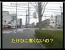 たけひこ車載Part1