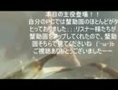 【水中カメラ】水中散歩　×　初めての海　×　まとめ【成功したよ！】