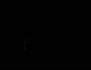 【心霊スポット】秩父吊橋行って見た！【ルル】