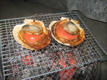 火鉢で一杯飲んでみた ～炙り鮭とば＆帆立貝焼き～